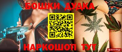 apvp Лесосибирск