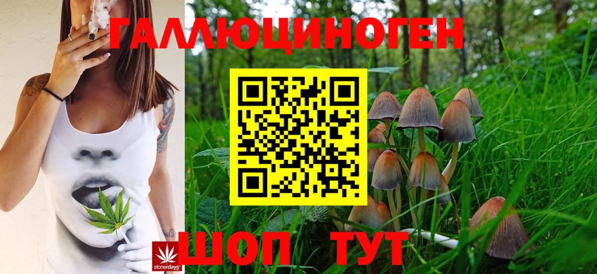 Югорск  Псилоцибиновые грибы мицелий  Вход с VPN  Галлюциногенные грибы Psilocybine cubensis 
